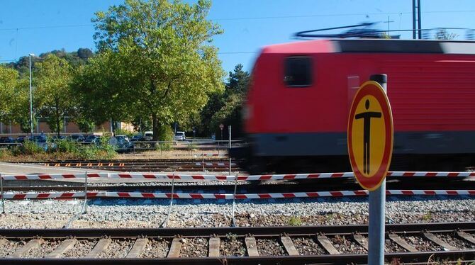 Während der Sanierung im Bahnhof Metzingen wurde der Übergang zwischen den Gleisen 1 (vorne) und 2 abgebaut. Während der Sanierung im Bahnhof Metzingen wurde der Übergang zwischen den Gleisen 1 (vorne) und 2 abgebaut.
