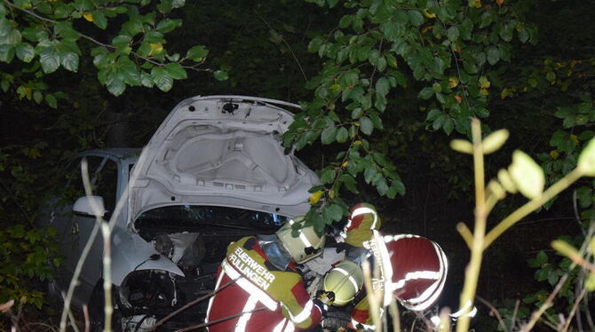 Das Auto stürzte die Böschung herunter, der Fahrer wurde schwerverletzt geborgen.