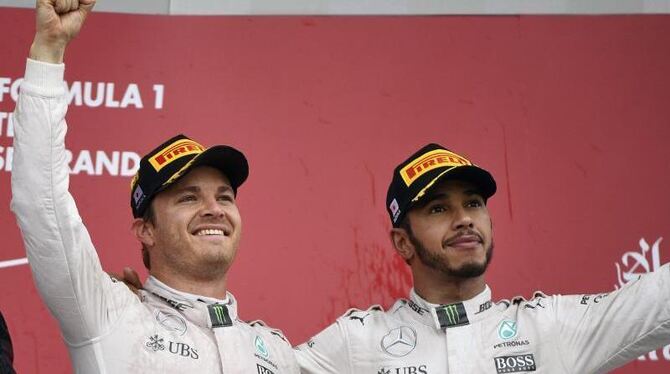 Nico Rosberg und Lewis Hamilton machen den Titel erneut unter sich aus. Foto: Franck Robichon