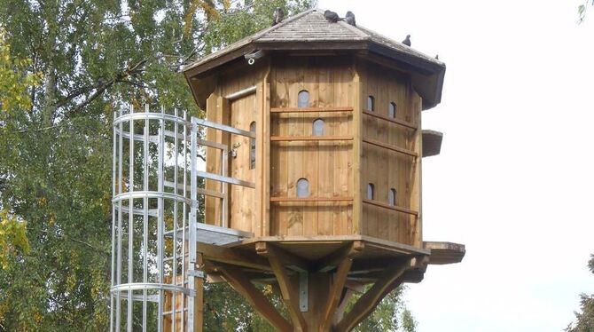 Das Vorbild steht in Stuttgart: Einen solches Taubenhaus soll auch in Orschel-Hagen errichtet werden. FOTO: MAIER GMBH