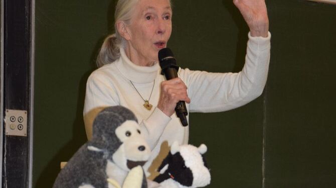 Großer Andrang herrschte beim Auftritt von  Jane Goodall in Tübingen, wo sie auf  Einladung von »Ärzte gegen Tierversuche«  war.