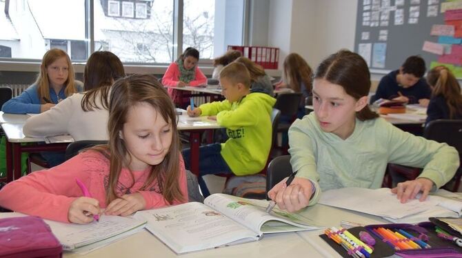 Lernen in Gruppen in der Gustav-Mesmer-Realschule Münsingen. Fabeln stehen auf dem Plan.