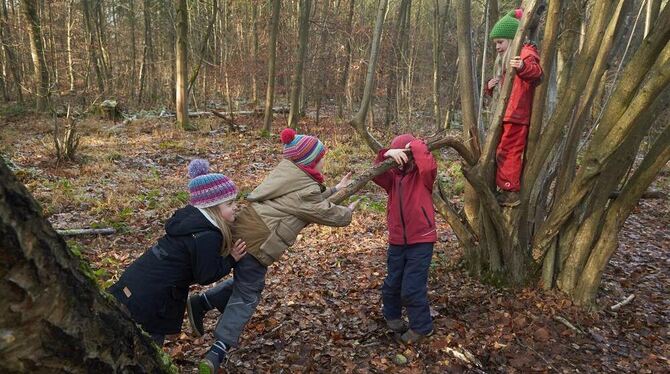 Kindergärten im Wald liegen im Trend. In Münsingen könnte  ein solcher am Beutenlay  entstehen. FOTO: DPA