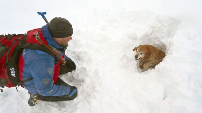Lawinensuchhund Lukas hat auf dem Nebelhorn bei Oberstdorf eine zuvor in einem Schneeloch versteckte Person gefunden. Foto: dpa