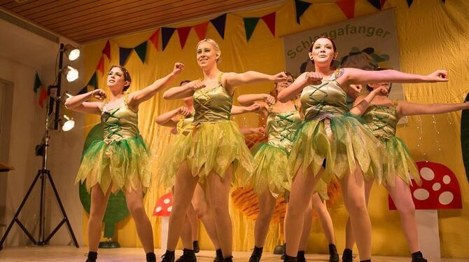 Der Tanz der Elfen im Elfenwald erntete beim Schlangafanger-Ball in Wilsingen Bewunderung und viel Beifall.