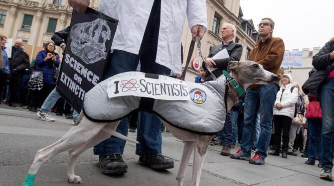 Ein Hund in München trägt den Schriftzug »I love Scientists«. Foto: Tobias Hase