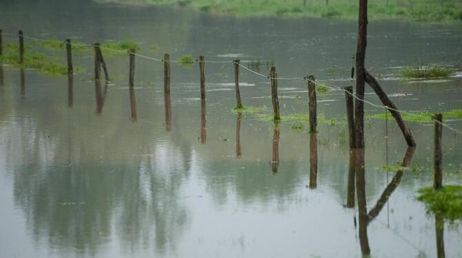 Der Fluß Ilmenau hat nach starken Regenfällen angrenzende Wiesen überschwemmt. Foto: Philipp Schulze