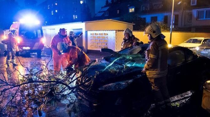 Feuerwehrmänner schneiden nach einem schweren Unwetter in Hannover ein Fahrzeug unter einem Baum frei. Foto: Peter Steffen