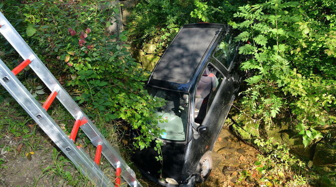 Der Renault landete im Bachlauf des Leinsbach, die Fahrerin wurde leicht verletzt.