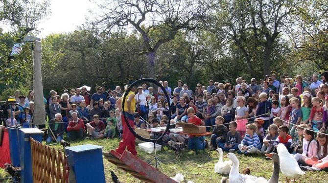 Kleine und große Gäste hatten Spaß am Kleinvieh, das der Zirkus »Liberta« mitgebracht hatte. FOTO: BÖHM