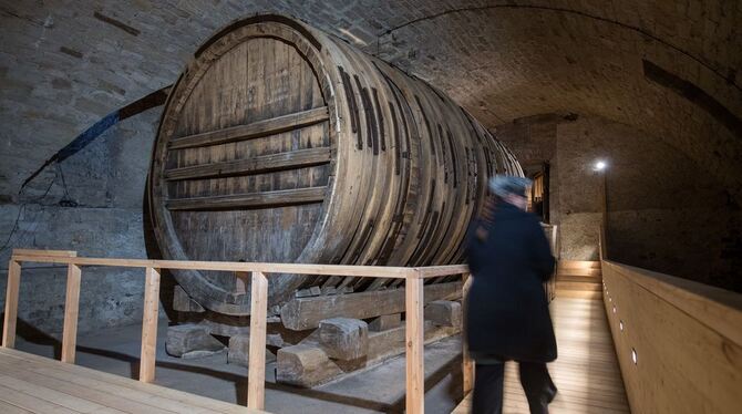 Ab Januar ist das älteste erhaltene Riesenweinfass der Welt wieder für Besucher zu besichtigen. Foto: Sebastian Gollnow