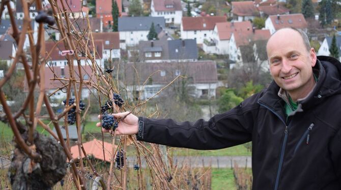 Der Metzinger Weinbauer Martin Koch weiß auch jetzt noch ganz genau, wo und bei welchen Rebsorten der überraschende Frühlingsfro