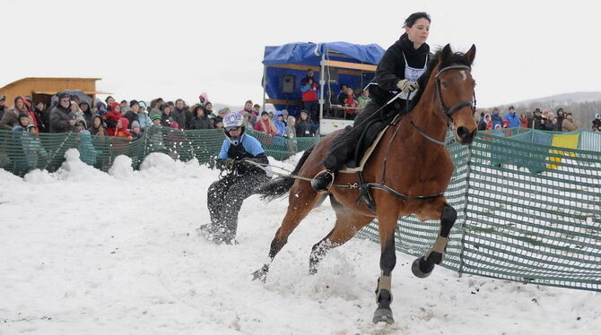 Moderne Zeiten: Auch die Stehbrettfahrer haben das Skijöring für sich entdeckt. Moderne Zeiten: Auch die Stehbrettfahrer haben das Skijöring für sich entdeckt.