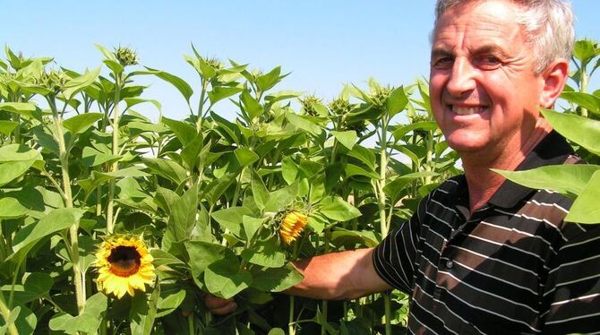 Wilhelm Ruckwied ist einer von drei Landwirten, die auf den Härten Blumenfelder zum Selberpflücken angelegt haben.  FOTO: WEBER