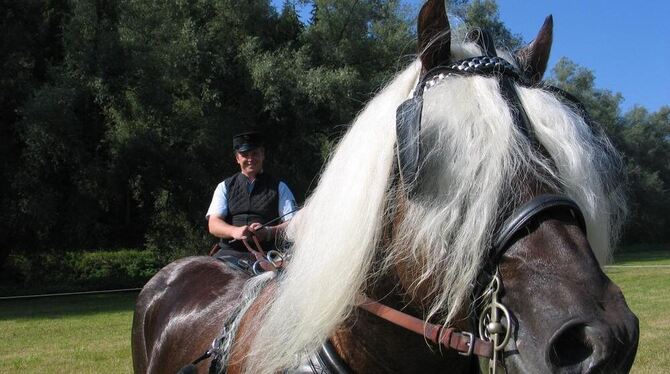 Das Kompetenzzentrum Pferdezucht und das Haupt- und Landgestüt präsentieren auf dem Landwirtschaftlichen Hauptfest, das am Samst