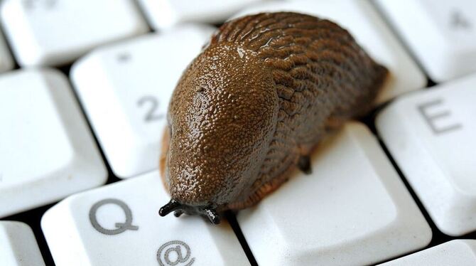 Im Schnecken-Tempo durch digitale Welten: Was in Bronnweiler, Reicheneck und Ohmenhausen heute teilweise internetter Alltag ist, Im Schnecken-Tempo durch digitale Welten: Was in Bronnweiler, Reicheneck und Ohmenhausen heute teilweise internetter Alltag ist,