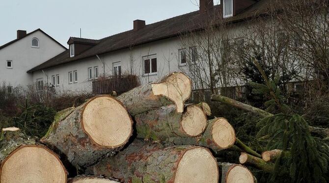 Die Bäume sind schon abgeholzt, demnächst werden die Abrissbagger auch das Gebäude-Ensemble des Architekten Helmut Erdle platt m