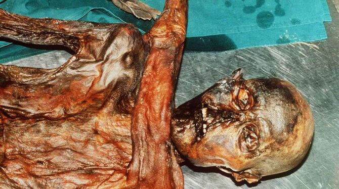 Blick auf die mumifizierte, rund 5000 Jahre alte Leiche »Ötzi«, die am 19. September 1991 im Gletschergebiet der Südtiroler Alpe