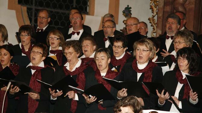 »Lasset uns Frohlocken«: Der Kirchenchor St. Martin stimmte am Sonntag in Großengstingen auf Weihnachten ein. FOTO: LPT