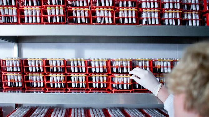 Blick in einen Kühlraum mit Blutproben der DKMS Life Science Lab in Dresden. FOTO: DPA