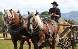 Großes Vertrauen zwischen Mensch und Pferd ist vonnöten, um beim Pliezhäuser Fuhrmannstag erfolgreich abzuschneiden.  FOTO: FINI