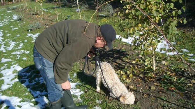 Karl-Heinz Klink und sein Hund Héros, der mit seiner guten und geübten Nase den Standort von reifen Trüffeln erschnüffelt. FOTO: