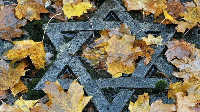 Millionenfacher Mord, Vertreibung und auch Kunstraub - die Verbrechen der Nationalsozialisten gegen die Juden dürfen nie in Verg