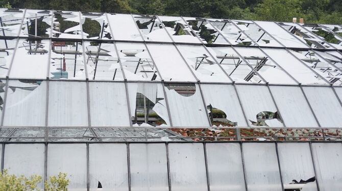 Glasdächer von Gärtnereien sehen aus, als seien sie beschossen worden. FOTO: TRINKHAUS