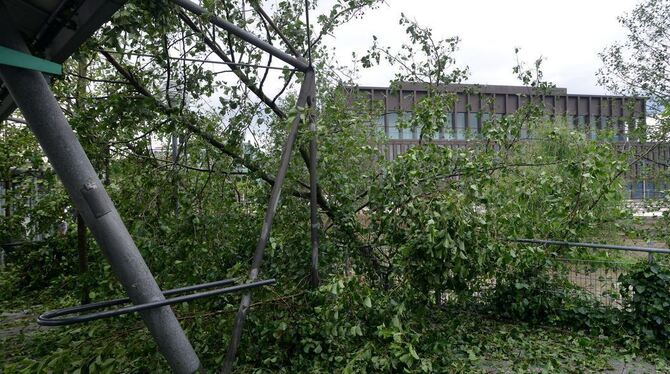Nach dem Hagelsturm im Juli verdeckten umgestürzte Bäume den Blick auf die Stadthalle.  ARCHIVFOTO: NIETHAMMER