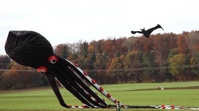Vom Boden abheben war das Kunststück am Samstag beim Drachenfest auf dem Münsinger Eisberg. FOTO: KOZJEK Vom Boden abheben war das Kunststück am Samstag beim Drachenfest auf dem Münsinger Eisberg. FOTO: KOZJEK