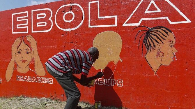 Wandzeitungen erklären in Liberia Symptome und Übertragungsmöglichkeiten von Ebola.  FOTO: DPA