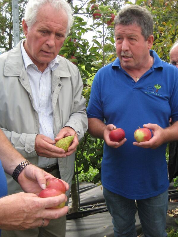 Erntefest am Calverbühl und Apfelfest beim Obst- und Gartenbauverein Metzingen 2014