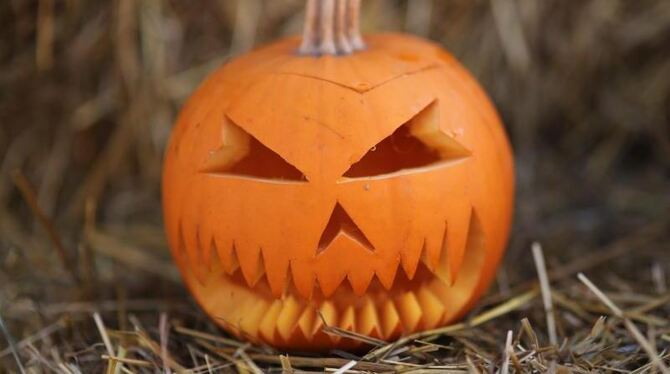 Der geschnitzte Kürbis - typisches Markenzeichen von Halloween. Foto: Leszek Szymanski