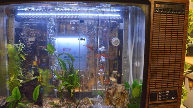 Alter Fernseher, alternatives Programm: Im Innern des Geräts mit Aquariumsfunktion drehen Zier-Fische ihre Runden.  GEA-FOTO: ME