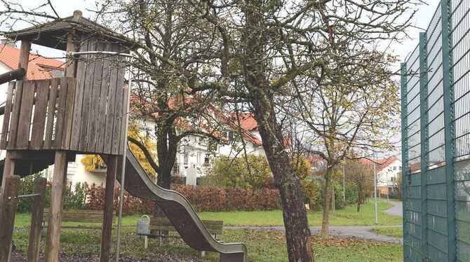 Reifes Obst lockt Wespen an. Deshalb muss der Birnbaum am Gomaringer Spielplatz im Gebiet Krautländer weg. GEA-FOTO: PACHER