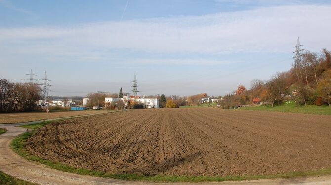 Bisher herrscht vor dem alten E-Werk in Metzingen Ackerland vor, am Randhang liegt eine Kleingartensiedlung. FOTO: PFISTERER
