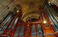 Die große Rieger-Orgel in der Marienkirche wird demnächst generalsaniert und ausgebaut. FOTOS: NIETHAMMER