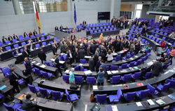Der Bundestag ist das Herz der Demokratie.  FOTO: KUMM/DPA