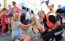 Ein bissle Kraulen, ein bissle Kuscheln: bei der Malteser Hundestaffel an der Nikolaikirche konnten die Helfer hautnah die Tiere