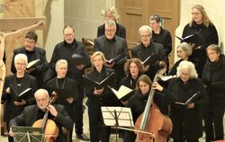 Konzentrierter  Auftritt nach  langer Pause:  Der Kammerchor  Münsingen bei seinem Konzert in der Münsinger Martinskirche.  FOTO