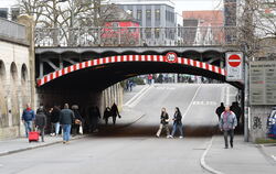 Die Eisenbahnbrücke Unter den Linden ist zum Ärger der Fußgänger bei Tauben ein beliebter Wohnort.  FOTOS: ZENKE (2), BÖHM