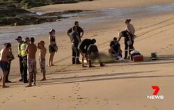 Vier Menschen vor australischer Insel ertrunken