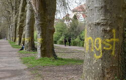 »Angst«: Das ist auf fast jedem Baum der Tübinger Platanenallee zu lesen. Oberbürgermeister Boris Palmer setzt eine Belohnung vo