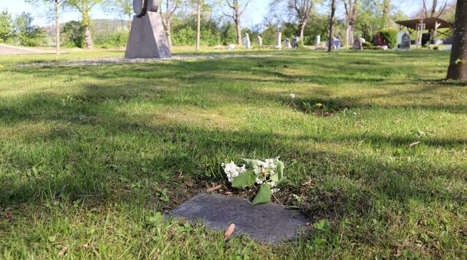 Auf dem Eninger Friedhof sind pflegeleichte Grabstätten im Trend. Vor allem die Baumgräber sind beliebt.