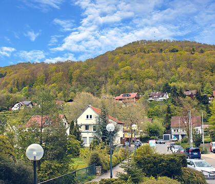 Die Gemeinde Lichtenstein will ihre gesamte Gemarkung ins Biosphärengebiet einbringen. Die Traufflächen gehören zum großen Teil 