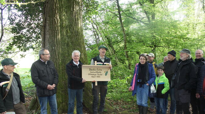 An der Bliestle-Eiche im Ofterdinger Forst. Von links: Forsteinrichter Andreas Kaphegy, Jochen Bliestle, Bürgermeister Joseph Re