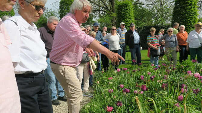 Das Farbenmeer der Tulpen ist kein Zufall: Roland Doschka erläutert den GEA-Lesern, wie das pointillistische Muster zustandekomm