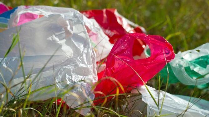 Weggeworfene Plastiktüten auf einer Grünfläche. Künftig sollen die Bürger der EU weniger Plastiktüten verbrauchen. Foto: Patr