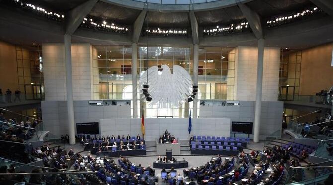Bundestagspräsident Norbert Lammert bei seiner Rede anlässlich der Debatte zu den Massakern von 1915/16. Foto: Britta Pederse