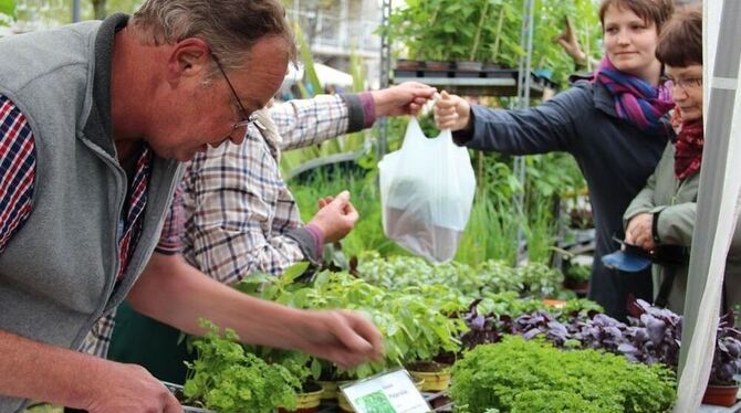 Gemüse- und Salatsetzlinge der Gärtnerei der Bruderhaus-Diakonie Buttenhausen gingen tütenweise über die Verkaufstheke.
